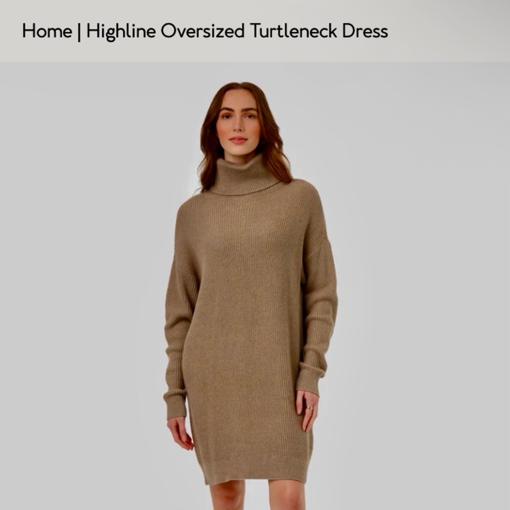 NWT Tentree Highline Oversized Turtleneck Dress